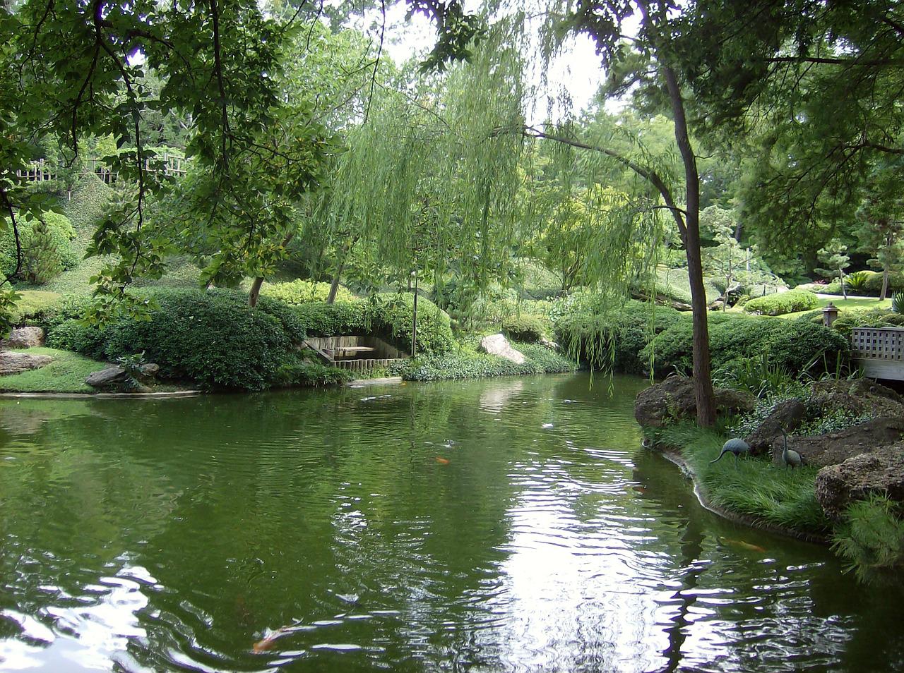 pond, botanic gardens, fort worth-713763.jpg